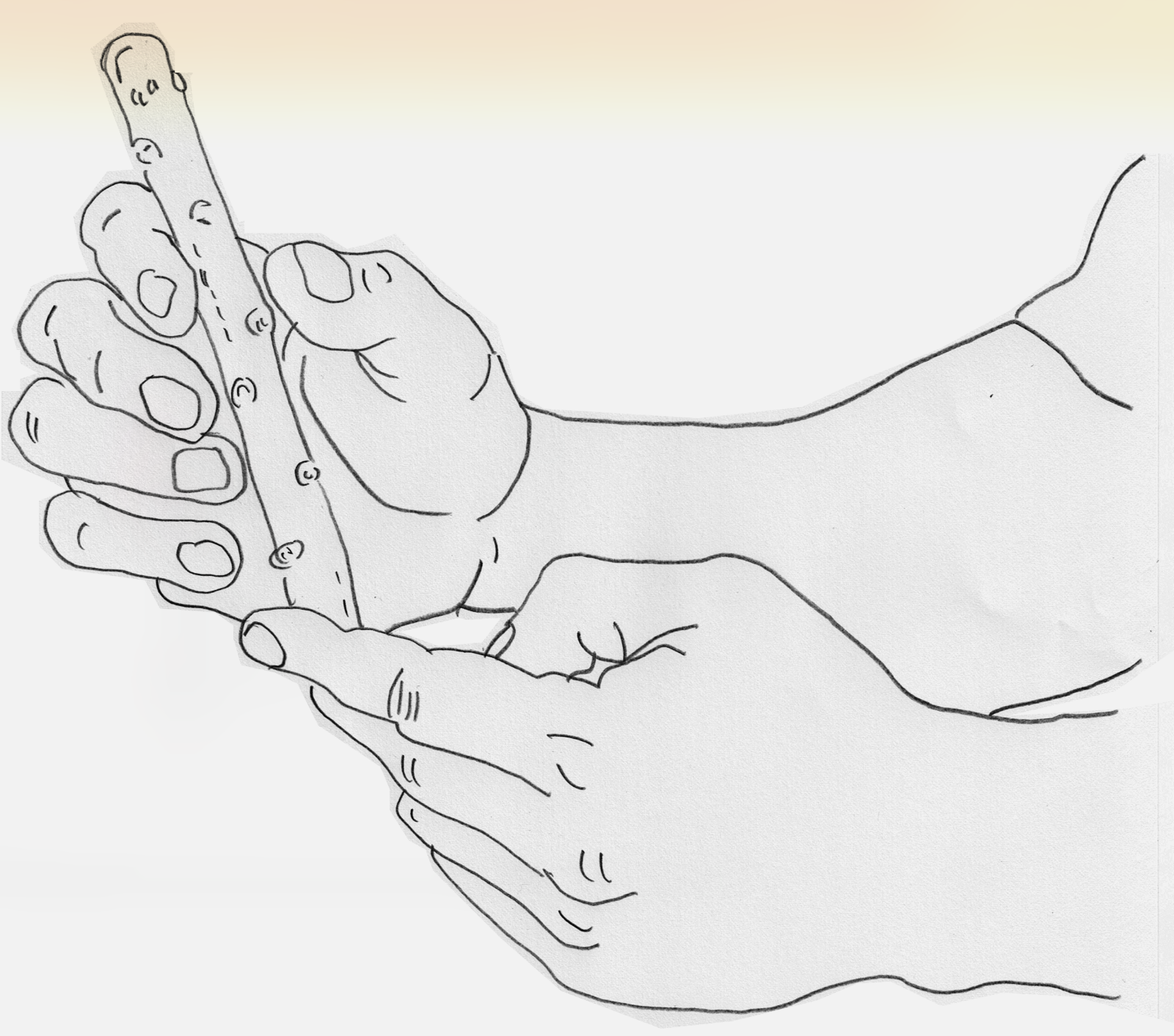 Illustration study